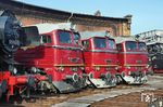 In dem nach eigenen Angaben größten noch funktionstüchtigen Dampflokbetriebswerk Europas, dem Bw Chemnitz-Hilbersdorf, fand am Wochenende vom 21. bis 23. August 2026 zum 33. Mal das traditionsreiche Heizhausfest statt. Über 50 historische Dampf- Diesel- und Elektroloks wurden diesmal ausgestellt. Dazu gehörten 52 8141 (Ostsächsische Eisenbahnfreunde Löbau), V 200 507 (Erfurter Bahnservice Gesellschaft), 120 269 (Museumslok Chemnitz-Hilbersdorf) und 120 274 (Bw Arnstadt historisch). (23.08.2026) <i>Foto: Andreas Höfig</i>