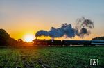 Regelmäßig organisiert die Veluwsche Stoomtrein Maatschappij (VSM), eine Museumseisenbahn in Beekbergen/NL, das größte Dampfzug-Festival in den Niederlanden unter dem Namen "Terug naar Toen" (Zurück nach Damals). Zum Einsatz kommen dort auch eine Vielzahl ehemals deutscher Lokomotiven, wie hier 41 241, die um 7.00 Uhr morgens zwischen Loenen und Beekbergen unterwegs ist.  (05.09.2026) <i>Foto: Joachim Schmidt</i>