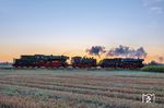 Sonnenaufgang über der Museumsbahn der VSM bei Beekbergen/NL mit 23 071, 64 415 und 44 1593. (06.09.2026) <i>Foto: Joachim Schmidt</i>
