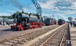 Dampflokatmosphäre pur mit 65 018, 01 1075 und 41 241 im Museumsbahnhof Beekbergen. (06.09.2026) <i>Foto: Joachim Schmidt</i>