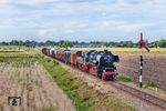 Einer der liebevoll zusammengestellten Fotogüterzüge, diesmal bespannt mit 52 8139 (ex Bw Berlin-Schöneweide) am südichen Einfahr(vor)signal von Beekbergen. (06.09.2026) <i>Foto: Joachim Schmidt</i>