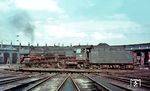 01 161 war aus Bremen nach Hamburg-Altona gekommen und bereitet sich dort auf die Rückfahrt in die Heimat vor.  (09.1967) <i>Foto: Rolf Hahmann</i>