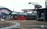 Die ölgefeuerte und mit den optisch ungewohnten Boxpok-Rädern (Stahlguss-Räder sowjetischer Bauart aus einem amerikanischen Patent) ausgerüstete 01 508 vom Bw Wittenberge im Bw Hamburg-Altona. Die Lok war erst am 02.05.1968 von einer L2-Zwischenausbesserung aus dem RAW Meinigen in den Betriebsdienst zurückgekehrt. (05.1968) <i>Foto: Rolf Hahmann</i>