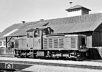 Bis in die 1960er Jahre wurden die Schmalspurbahnen der Steiermärkischen Landesbahnen nahezu ausschließlich mit Dampflokomotiven betrieben. Die Einführung von Austro-Daimler-Benzintriebwagen in der Zwischenkriegszeit scheiterte an deren technischen Unzulänglichkeiten, einige Diesellokomotiven aus Beständen der Heeresfeldbahn standen nach dem Zweiten Weltkrieg nur für untergeordnete Dienste wie den Rangierdienst zur Verfügung. Der Ersatz der Dampflokomotiven wurde notwenig, um die Schmalspurbahnen wirtschaftlich zu führen und als Verkehrsträger konkurrenzfähig zu erhalten. Da die von Simmering-Graz-Pauker gebaute Reihe ÖBB 2095 für die Bedürfnisse der Landesbahnen als nicht geeignet angesehen wurde, entwickelten die ÖAMG Zeltweg und Brown-Boveri eine Lokomotive mit Mittelführerstand und dieselelektrischer Kraftübertragung für den schweren Streckendienst. Zwischen 1965 und 1967 entstanden sechs Lokomotiven. VL 13 kam zur Murtalbahn, die von Unzmarkt (Steiermark) über Murau und Tamsweg nach Mauterndorf (Land Salzburg) führt. (06.1962) <i>Foto: Basil Roberts</i>