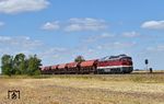 Der Steinsalzzug mit 142 001 auf Höhe der ehemaligen Blockstelle und Awanst Edderitz kurz vor Köthen.  (11.08.2026) <i>Foto: Ralf Opalka</i>