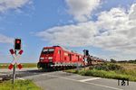 245 024 passiert mit AS 1426 nach Westerland (Sylt) den Bü Gurtmuasem zwischen Morsum und Keitum. (24.08.2026) <i>Foto: Joachim Bügel</i>