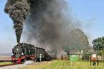 Lok 9 kachelt mit Volldampf vor dem Fotogüterzug aus Siersleben heraus in Richtung Thondorf. Dabei passiert sie eine besonders schön gestaltete Gartenlaube am Streckenrand. Die Kleingartenanlage wurde 2021 geschleift, da die Nutzer der Gartenanlage ihre Gärten nicht mehr bewirtschafteten. (10.10.2010) <i>Foto: Thomas Fischer</i>