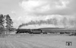 Kurze Zeit später erschien 01 1081 mit dem D 184 (Wilhelmshaven - Bremen - Hannover - Frankfurt/M - Basel SBB) bei Neustadt (Hessen), die auf der Rampe zur Blockstelle Wasserscheide deutlich mehr zu tun hatte. (12.03.1967) <i>Foto: Reinhard Gumbert</i>