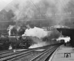 44 118 vom Bw Osnabrück Hbf fährt als Vorspann vor einer unbekannten Schwesterlok mit einem Güterzug durch Bremen Hbf. Links steht 01 198. (11.1967) <i>Foto: Hans Landwehr</i>