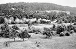Ein Nahgüterzug mit einer Limburger T 14¹ im Aartal bei Zollhaus (Nassau). (24.07.1964) <i>Foto: Gerhard Röder</i>