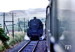 Der Heizer der 01 039 am E 553 nach Köln begrüßt bei Scheven seinen entgegenkommenden Kollegen auf 01 062 mit dem E 554 nach Trier. (07.1968) <i>Foto: Harald Vogelsang</i>