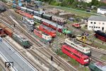 Während sich DB-Cargo u.a. wegen zu hoher Unterhaltungs- und Energiekosten von der Baureihe 151 verabschiedet hat, wissen private Verkehrsunternehmen die leistungsstarke Lok weiterhin zu schätzen, obwohl sie bereits 50 Jahre alt ist. In Nördlingen trafen sich gleich 8 Maschinen der Baureihe in unterschiedlichen Farbvarianten. Neben 151 016 in grün, waren dies 151 113 (orientrot), 151 073 (blau/beige), 151 129 (dreifarbig), 151 106 (verkehrsrot mit AK), 162.002 (ex 151 070 in grau), 151 074 (weiß) und 151 103 (verkehrsrot). (20.09.2026) <i>Foto: Joachim Schmidt</i>