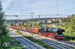 Den letzten Zug der Plandampfveranstaltung 2026 bestritt 50 4073 (mit 58 1111 am Zugschluss) am DGS 95014 nach Donauwörth, hier bei der Einfahrt in den Betriebsbahnhof Harburg (Schwaben). (23.09.2026) <i>Foto: Joachim Schmidt</i>
