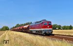 142 001 der Erfurter Bahnservice Gesellschaft mit einem Steinsalzzug von Baalberge nach Vetschau nahe des Haltepunkts Frenz westlich von Köthen (Anhalt). (27.08.2026) <i>Foto: Ralf Opalka</i>