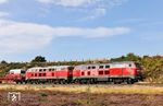 218 385 und 218 390 mit AS 1441 bei Morsum. Beide Loks befinden sich im betrieblichen Endstadium, scheinen aber weiter vor den Autozügen unverzichbar zu sein. 218 385 (Henschel, Baujahr 1975) hatte nach mehrfachen Fristverlängerungen am 02.09.2025 nochmals eine IS600-Auslaufunteruchung im Werk Cottbus erhalten, 218 390 (MaK, Baujahr 1975) in Niebüll eine zweite Fristverlängerung bis 09.04.2027. (26.08.2026) <i>Foto: Joachim Bügel</i>