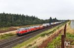 Östlich von Morsum werden 218 385 und 218 390 mit AS 1429 nach Niebüll gleich die Insel Sylt verlassen. (28.08.2026) <i>Foto: Joachim Bügel</i>