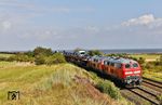 218 390 und 218 385 haben östlich von Morsum mit AS 1438 aus Niebüll soeben die Insel Sylt "betreten". Die bekannte Fotostelle wächst auch immer mehr zu. (29.08.2026) <i>Foto: Joachim Bügel</i>