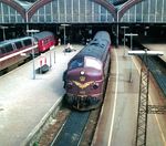 Die dieselelektrischen Lokomotiven der Reihe My vom schwedischen Hersteller NOHAB sind wohl die bekanntesten Maschinen der DSB. My 1128 aus der zweiten Bauserie von 1957 wartet vor dem D 333 (Köln - Fredrikshavn) in Kopenhagen Hbf auf die Weiterfahrt. (05.1981) <i>Foto: Ulrich Hesse</i>