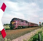 Zu Beginn der 1960er Jahre beschaffte die DSB dieselelektrische Lokomotiven, um die Dampfloks auf Nebenbahnen mit geringer Achslast zu ersetzen. 45 Maschinen wurden von der schwedischen NOHAB zwischen 1960 und 1962 geliefert. Im Vergleich zur My waren die Mx etwas leichter und schwächer motorisiert. Mx 1029 ist hier mit dem D 333 nach Frederikshavn kurz vor der deutsch-dänischen Grenze zwischen Flensburg und Padborg unterwegs. (05.1981) <i>Foto: Ulrich Hesse</i>
