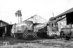 Nachdem die guatemaltekische Regierung die Betriebsführung der Eisenbahn übernommen hatte, bestellte sie 1968 in Spanien 18 Diesellokomotiven, die die Dampftraktion ablösen sollte. Dazu gehörten die hier im Depot Guatemala zu sehenen Loks No. 907 und 909. Eine weitere Erneuerungswelle des Triebfahrzeugparkes erfolgt 1982, die zur endgültigen Abstellung der Dampfloks führte. Trotz dieser Investitionen ging der Verkehr regelmäßig zurück. 1994 wurde der Personenverkehr eingestellt, im März 1996 der Güterverkehr auf dem gesamten Streckennetz. Der Staat schrieb das komplette Netz neu aus und suchte einen privaten Betreiber, der die Bahn wieder reaktivieren sollte. (15.11.1971) <i>Foto: Jörg Schulze</i>
