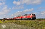 Bei dem ganzen Ärger um "die neue Bahn" erfreut man sich lieber an den schon lange totgesagten Loks der Baureihe 218, die weiterhin ihre Runden vor dem Autozug drehen, wie hier 218 385 und 218 390 vor dem AS 1441 nach Niebüll zwischen Keitum und Morsum. (30.08.2026) <i>Foto: Joachim Bügel</i>