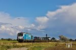 RDC 247 909 hat den DPF 28918 nach Westerland (Sylt) bei Morsum am Haken. (31.08.2026) <i>Foto: Joachim Bügel</i>