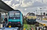 Im Bahnhof Westerland (Sylt) stehen 245 208 mit RE 11017 nach Hamburg-Altona und 218 330 am RE 11065 nach Niebüll. (01.09.2026) <i>Foto: Joachim Bügel</i>