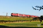 218 470 passiert am RE 11081 nach Husum das fahrtzeigende Einfahrvorsignal von Klanxbüll. (25.09.2025) <i>Foto: Joachim Bügel</i>