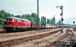 Die erst wenige Monate alte 215 005 (Bw Ulm) vor einem beachtlichen Güterzug im Bahnhof Lindau-Reutin. Der Bahnhof ist auch Grenzbahnhof zu Österreich. Im Zuge des 2016 begonnenen Umbaus des Eisenbahnknotens Lindau wurden die meisten Güterzuggleise entfernt, Reutin zum neuen Fernbahnhof von Lindau ausgebaut. (09.1969) <i>Foto: Rolf Hahmann</i>
