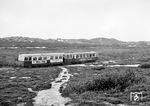 Der T 28 (Talbot, 1949, urspr. Eckernförder Kreisbahn T 3) mit Bw 31 (ex Herforder Kleinbahnen) zwischen Vogelkoje und Klappholttal auf der Nordstrecke. (07.09.1968) <i>Foto: Reinhard Todt</i>