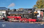 Die frisch wieder in Betrieb genommene 99 4631 in Binz LB. Nachdem die Lok 2023 von der PRESS (Eisenbahnbau- und Betriebsgesellschaft Pressnitztalbahn) übernommen worden war, wurde sie durch die Firma DRG Dampftechnik Reichelt GmbH in Olbernhau/Erzgebirge wieder betriebsfähig aufgearbeitet. Den erforderlichen Neubaukessel lieferte die MZA Schienenfahrzeug GmbH aus Polen. Das Lokschild stammt noch vom 1984 ausgemusterten Original und durfte nur unter der Maßgabe angebracht werden, dieses nicht zu putzen, damit die authentische Patina erhalten bleibe. (16.10.2026) <i>Foto: Joachim Schmidt</i>