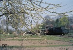 Baumblüte bei Walkenried und 051 420 (50 1420 vom Bw Lehrte) mit Dg 45865 auf dem Weg nach Ellrich/DDR. (07.05.1976) <i>Foto: Wolfgang Bügel</i>