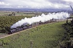 Zwei Loks der südafrikanischen Bahngesellschaft SAR Baureihe NG 15 ziehen einen Güterzug mit Zitrusfrüchten auf der Strecke Patensie - Port Elizabeth. (14.07.1982) <i>Foto: Dick Manton</i>