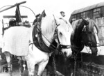 Die von Pferden gezogenen Fuhrwerke waren auch in Zeiten der "modernen" Reichsbahn alltägliches Bild. (1934) <i>Foto: RVM</i>