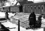 Holzverladung im Bahnhof Winkelsdorf (heute tschech. Kouty nad Desnou). Nach dem Münchner Abkommen 1938 wurde Winkelsdorf dem Deutschen Reich zugeschlagen und gehörte bis 1945 zum Landkreis Mährisch Schönberg. (1944) <i>Foto: RVM (Ittenbach)</i>