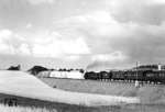 An einem schönen Sommernachmittag fährt ein Zug mit einer pr. P 8 von Breslau nach Frankfurt/Oder durch die Getreidefelder bei Sommerfeld. Als Ergebnis der Potsdamer Konferenz wurde Sommerfeld 1945 Teil Polens und bekam den offiziellen polnischen Namen Lubsko. (1938) <i>Foto: RVM</i>