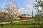 101 028 vor dem über die rechte Rheinstrecke umgeleiteten IC 2022 (Frankfurt/M - Hamburg-Altona) bei Unkel. (24.04.2013) <i>Foto: Joachim Bügel</i>