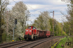 Die Baureihe 294 wird nach und nach durch die Voith Gravita Reihe 261/265 ersetzt werden. Im Frühjahr 2013 kam glücklicherweise noch eine 294 mit EK 54726 (Wuppertal-Langerfeld - Köln-Kalk Nord) bei Gruiten um die Ecke. (29.04.2013) <i>Foto: Joachim Bügel</i>