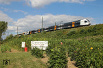 Unter der Marke Eurobahn betreibt die Keolis Deutschland Schienenpersonennahverkehr in Nordrhein-Westfalen. Auf der Linie RE 13 "Maas-Wupper-Express" ist ET 6.04 mit einem ET 7 als ERB 92352 (Hamm - Kaldenkirchen) bei Wuppertal-Vohwinkel unterwegs. (24.07.2010) <i>Foto: Joachim Bügel</i>