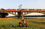 Der richtige Tip für alle Workaholics ist ein Picknick auf den Rheinwiesen. Die drei Studentinnen machen's richtig, während der Lokführer auf der 185 mit dem MegaCombi-Zug aus den Fordwerken noch einige Stunden Fahrt bis zum Feierabend vor sich hat. (16.08.2013) <i>Foto: Joachim Bügel</i>