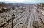 Ein Bild völliger Zerstörung bot dieser Güterbahnhof bei Florenz nach einem alliierten Fliegerangriff. (08.1944) <i>Foto: Walter Hollnagel</i>
