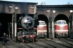 Neben der Ottbergener 044 326 warten die beiden Reichsbahn-Lokomotiven 118 321 und 118 316 auf ihre nächsten Einsätze im Bw Helmstedt. (16.10.1975) <i>Foto: Peter Schiffer</i>