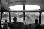Blick aus dem wohl als (Kinder-)Sonderzug verkehrenden Trierer VT 95 958 auf die im Kreuzungsbahnhof Dernau/Ahr entgegenkommende 86 843 (Bw Kreuzberg).  (1954) <i>Foto: Fischer</i>