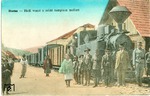 Handkolorierte Postkarte aus dem Bahnhof Borsa an der Prislopbahn in Rumänien. (1917) <i>Foto: Slg. Johannes Glöckner</i>