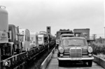 Begegnung zweier Autozüge auf dem Weg von und nach Sylt im Kreuzungsbahnhof Lehnshallig zwischen Niebüll und Klanxbüll. (08.1966) <i>Foto: Privatfoto</i>