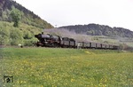 Durch die blühenden Wiesen bei Untersteinach rollt eine unbekannte Hofer 50er. (19.06.1973) <i>Foto: W. Tokar</i>