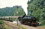 Fotohalt im Bahnhof Ulbersdorf auf der Strecke Bad Schandau - Neustadt/Sa. (13.08.1978) <i>Foto: Wolfgang Bügel</i>