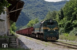 SZ 664-119 mit einem Güterzug Richtung Jesenice in Plave.  (11.08.2011) <i>Foto: Bernhard Jurasovits   </i>
