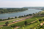 Blick ins Rheintal bei Nierstein auf 103 113, die mit IC 118 nach Münster durch die Landschaft braust. (19.06.2014) <i>Foto: Joachim Bügel</i>