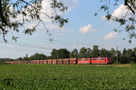 151 014 und 151 038 in Diensten der RBH vor dem Kohlezug GM 47777 (Oberhausen West - München Johanniskirchen) bei Langenfeld-Richrath. (23.07.2014) <i>Foto: Joachim Bügel</i>